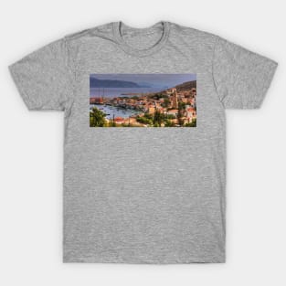 View from the hill T-Shirt